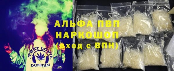 spice Бикин