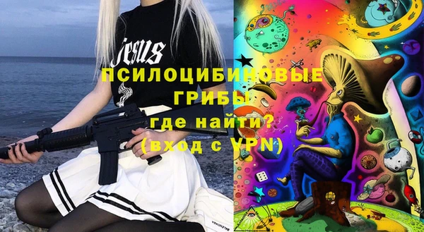 марки lsd Билибино