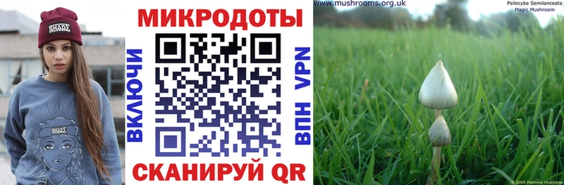 где можно купить наркотик  Камень-на-Оби  Галлюциногенные грибы прущие грибы 