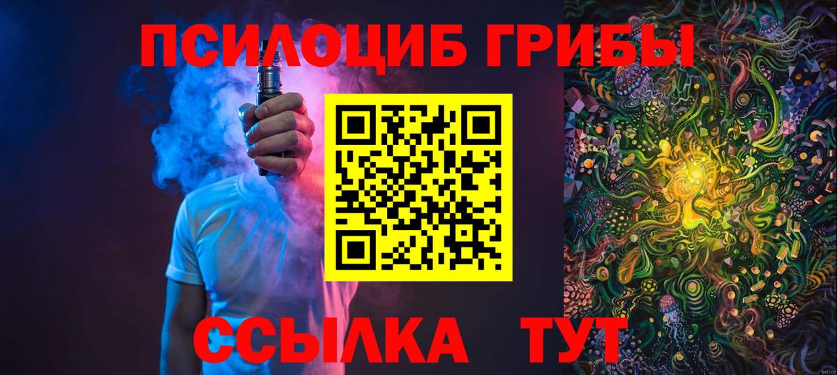 Камень-на-Оби  Галлюциногенные грибы мухоморы  Галлюциногенные грибы GOLDEN TEACHER  Вход с VPN 